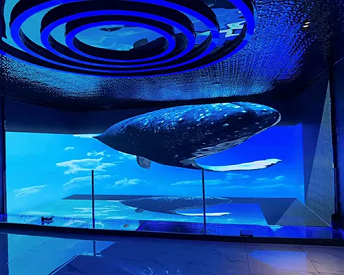 沉浸式LED顯示屏